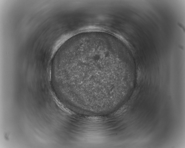 X0000099561413200806131224