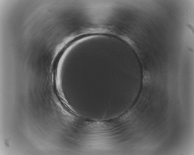 X0000099561414200806131224