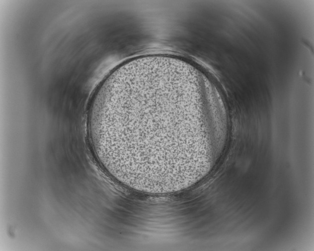 X0000099561415200806131224