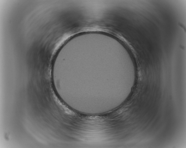 X0000099561416200806131224