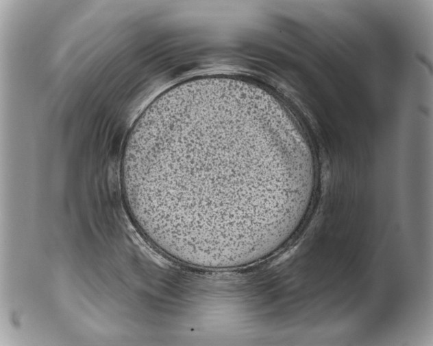 X0000099561417200806131224