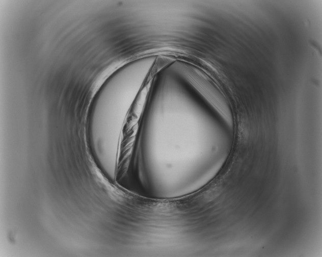 X0000099561418200806131224