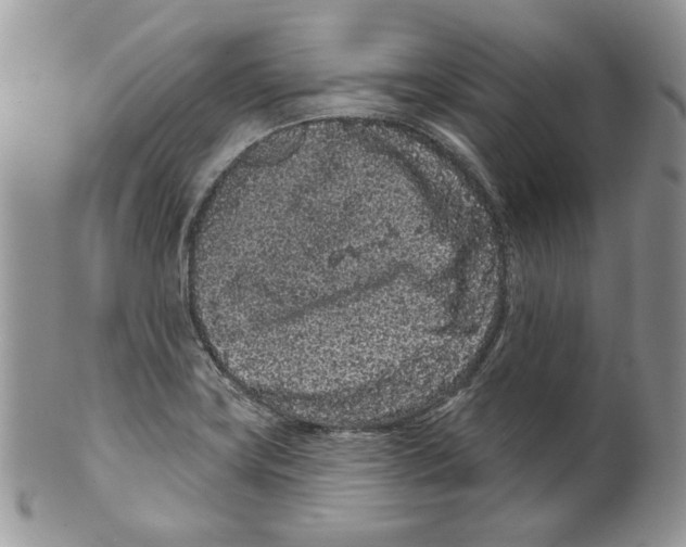 X0000099561419200806131224