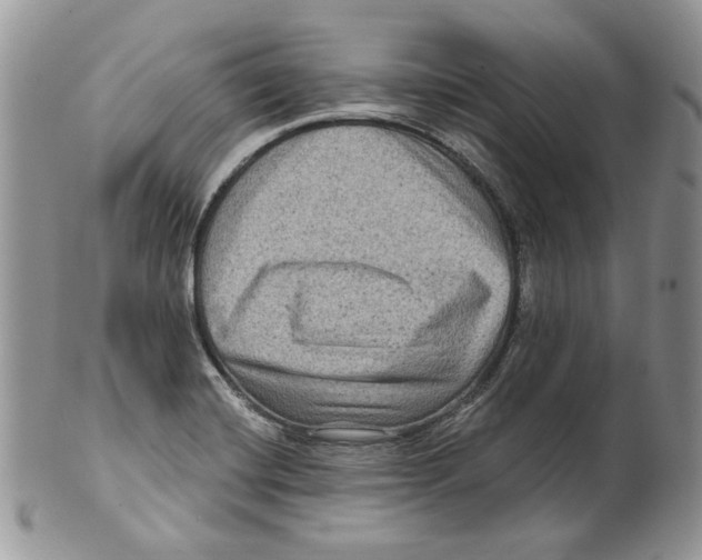 X0000099561420200806131224