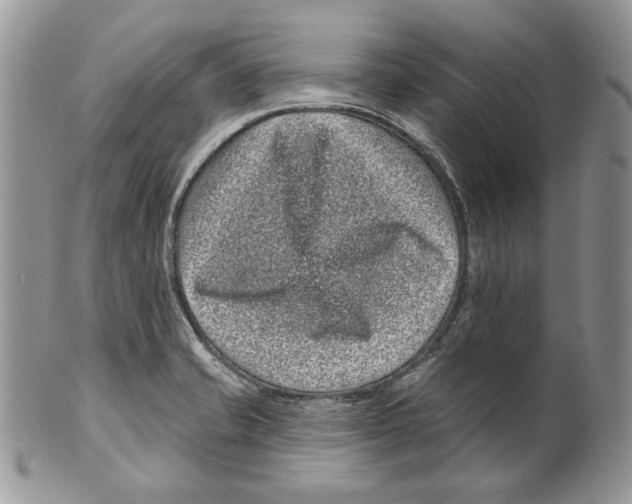 X0000099561421200806131224