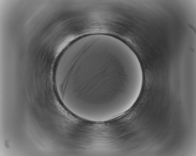 X0000099561422200806131224