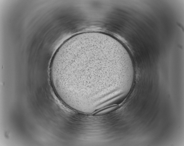 X0000099561423200806131224