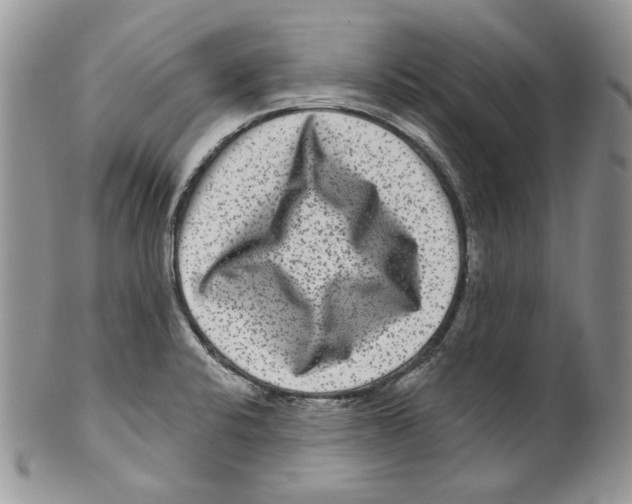 X0000099561424200806131224