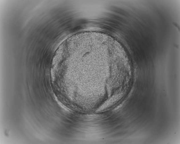 X0000099561425200806131224