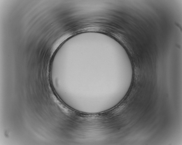 X0000099561426200806131224