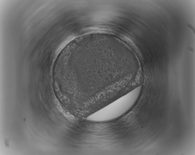 X0000099561427200806131224