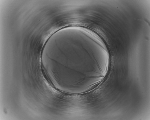 X0000099561428200806131224