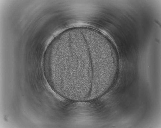 X0000099561429200806131224