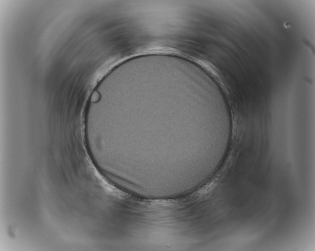 X0000099561430200806131224