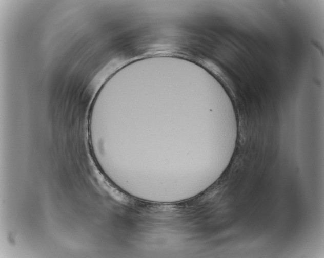 X0000099561431200806131224