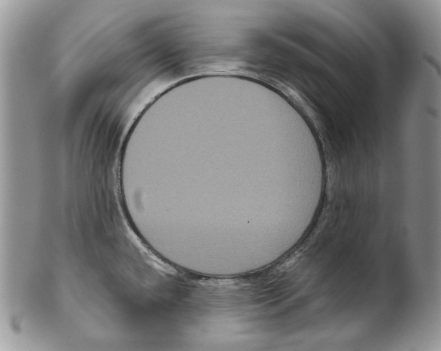 X0000099561432200806131224