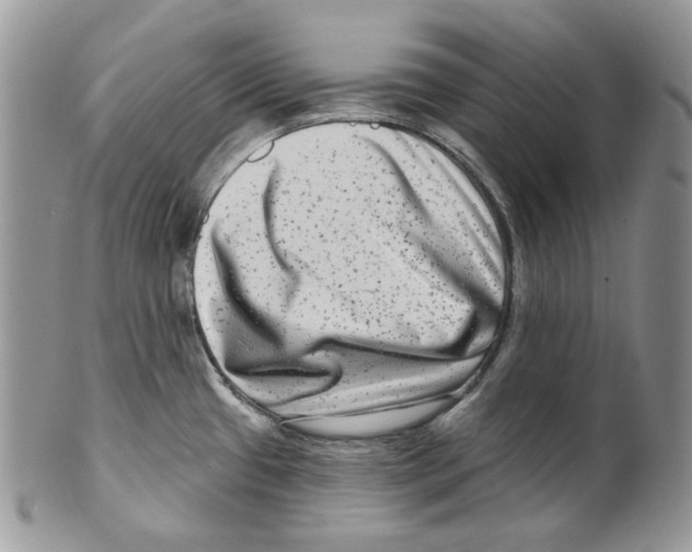 X0000099561433200806131224