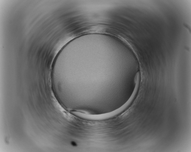 X0000099561434200806131224