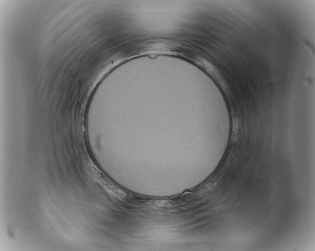 X0000099561435200806131224