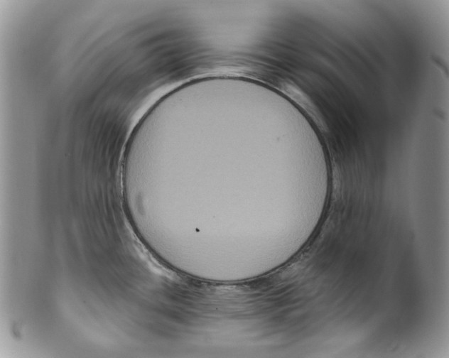 X0000099561436200806131224