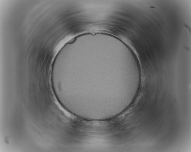 X0000099561437200806131224