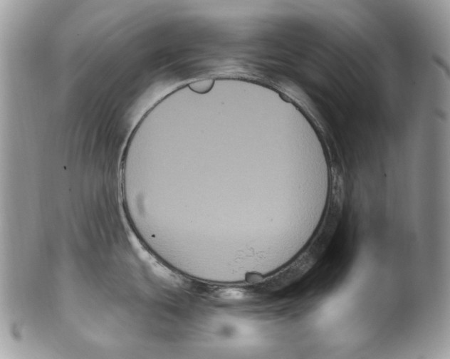 X0000099561439200806131224