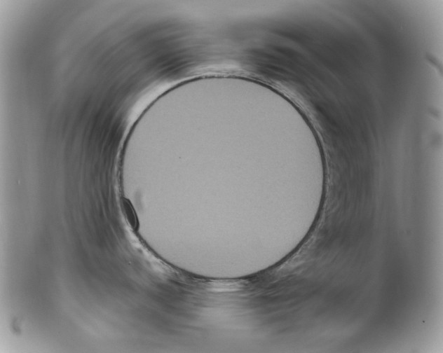 X0000099561440200806131224