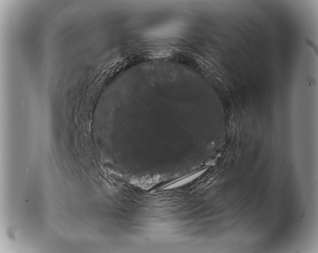 X0000099561441200806131224