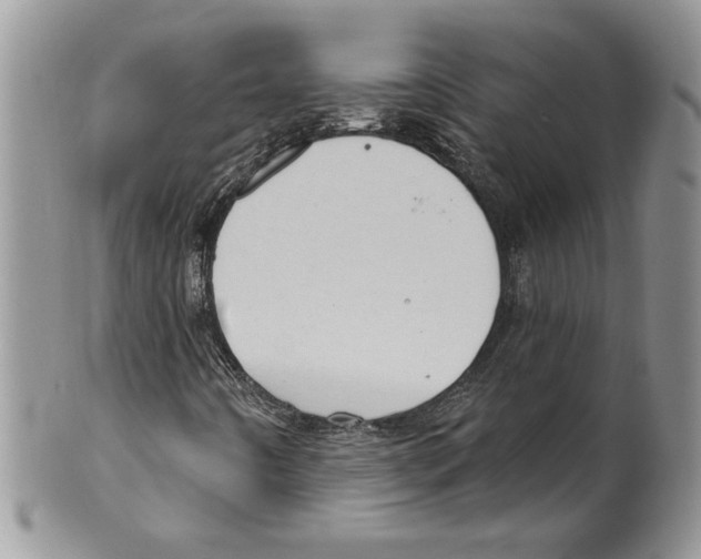 X0000099561442200806131224