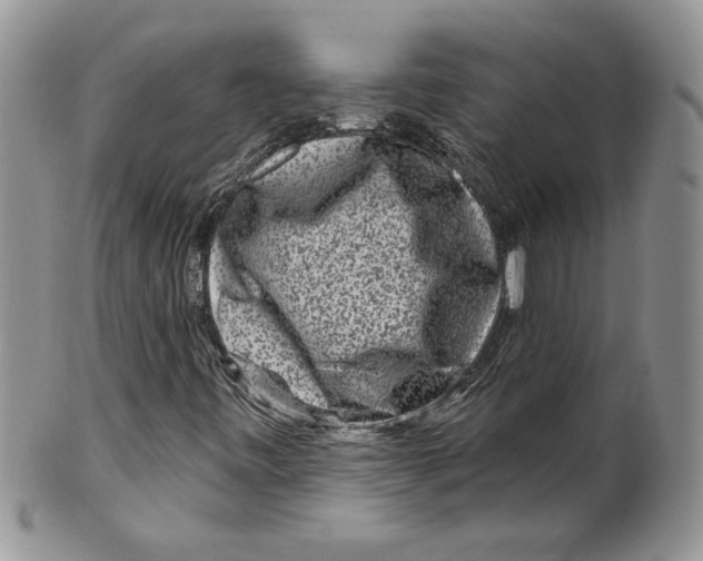 X0000099561443200806131224