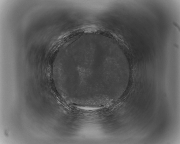 X0000099561445200806131224