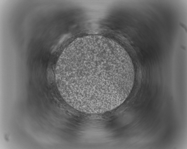 X0000099561446200806131223