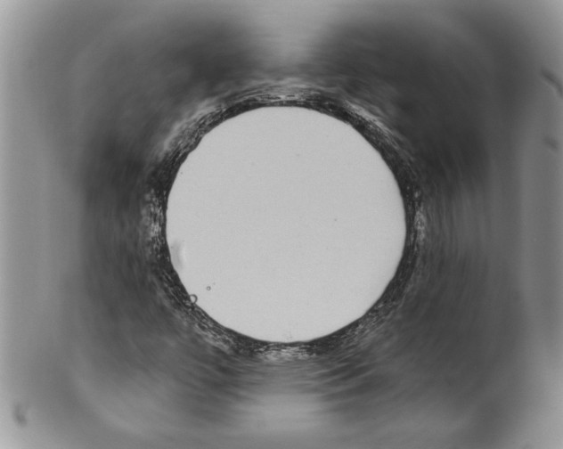 X0000099561447200806131223