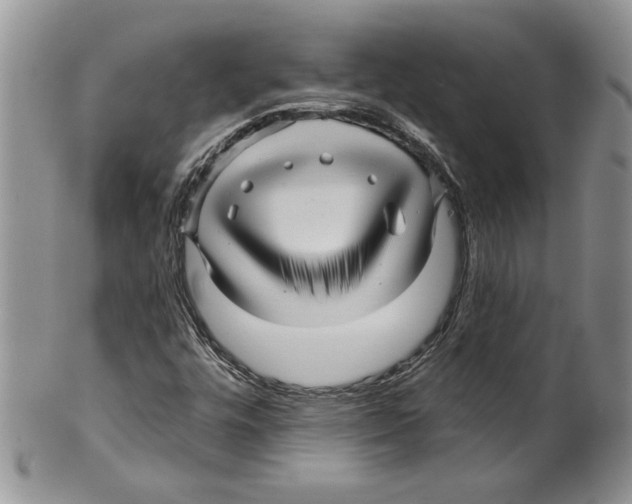 X0000099561448200806131223