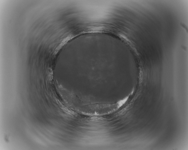 X0000099561449200806131223