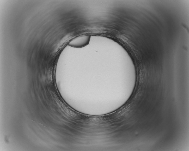 X0000099561451200806131223