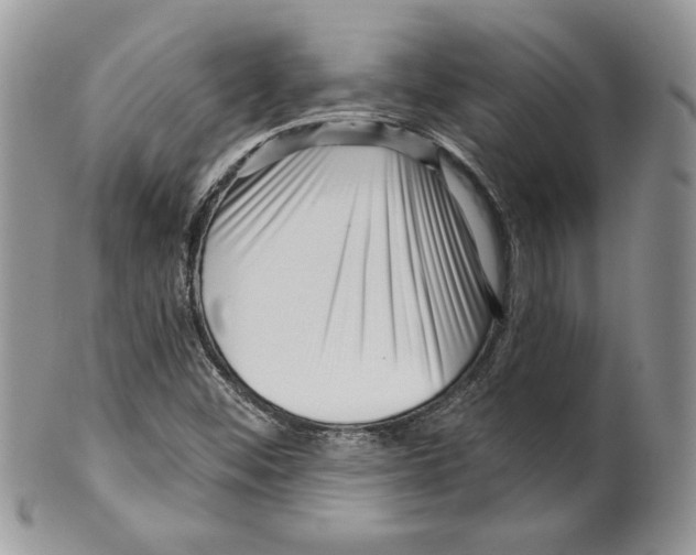 X0000099561452200806131223