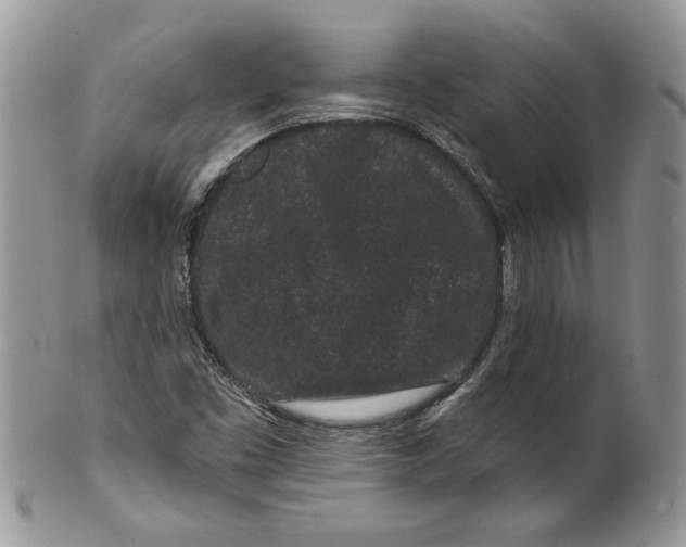 X0000099561453200806131223