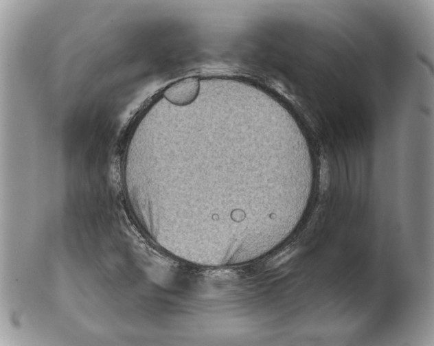 X0000099561454200806131223