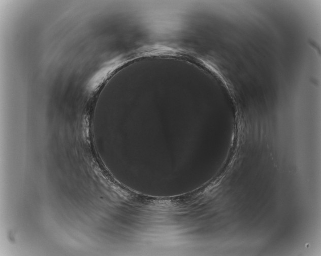 X0000099561455200806131223