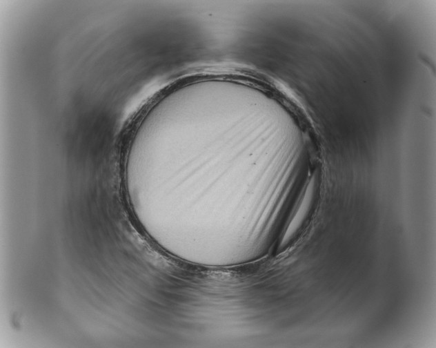 X0000099561456200806131223