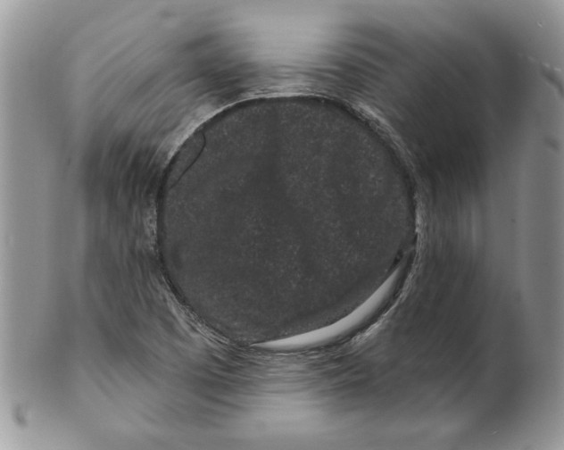 X0000099561457200806131223