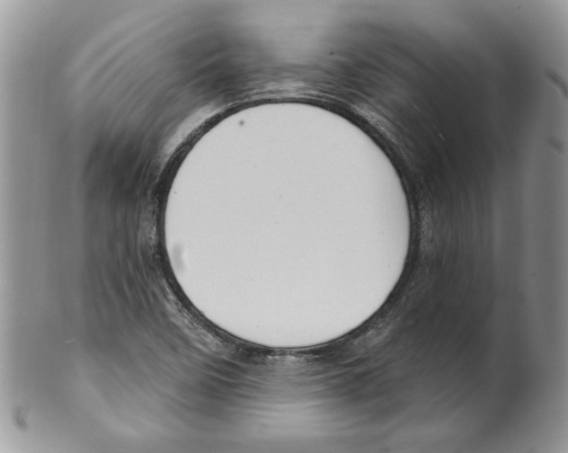 X0000099561458200806131223