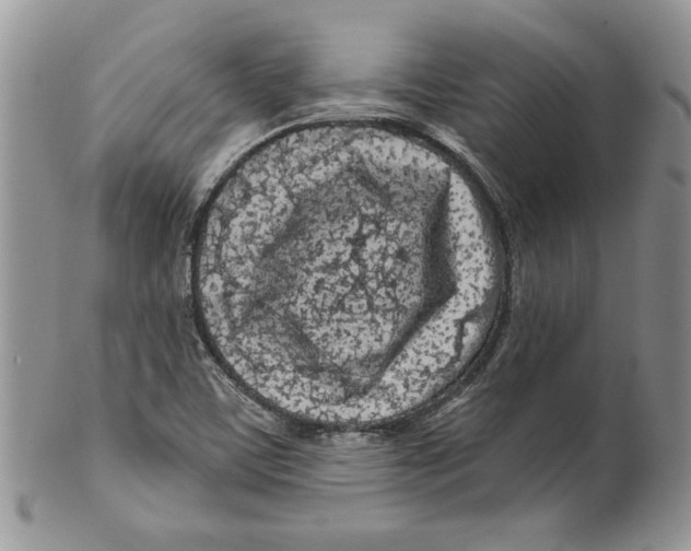 X0000099561459200806131223