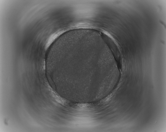 X0000099561461200806131223