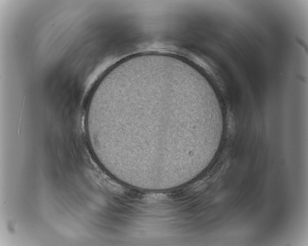 X0000099561462200806131223