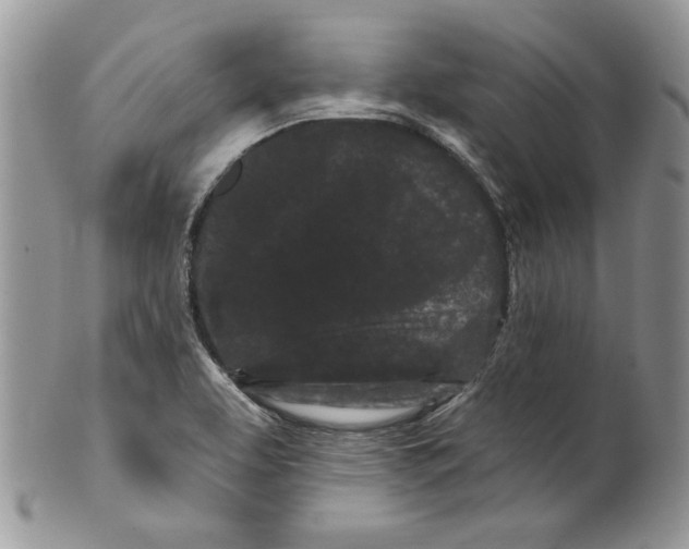 X0000099561463200806131223