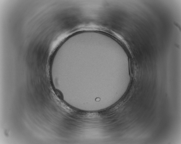 X0000099561464200806131223