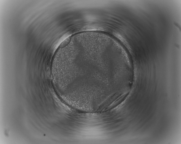 X0000099561465200806131223