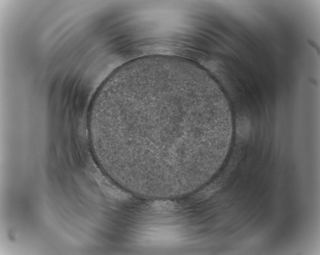 X0000099561466200806131223